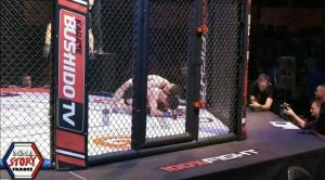 IMMERSION AU 100% FIGHT 44 par MMA STORY FRANCE